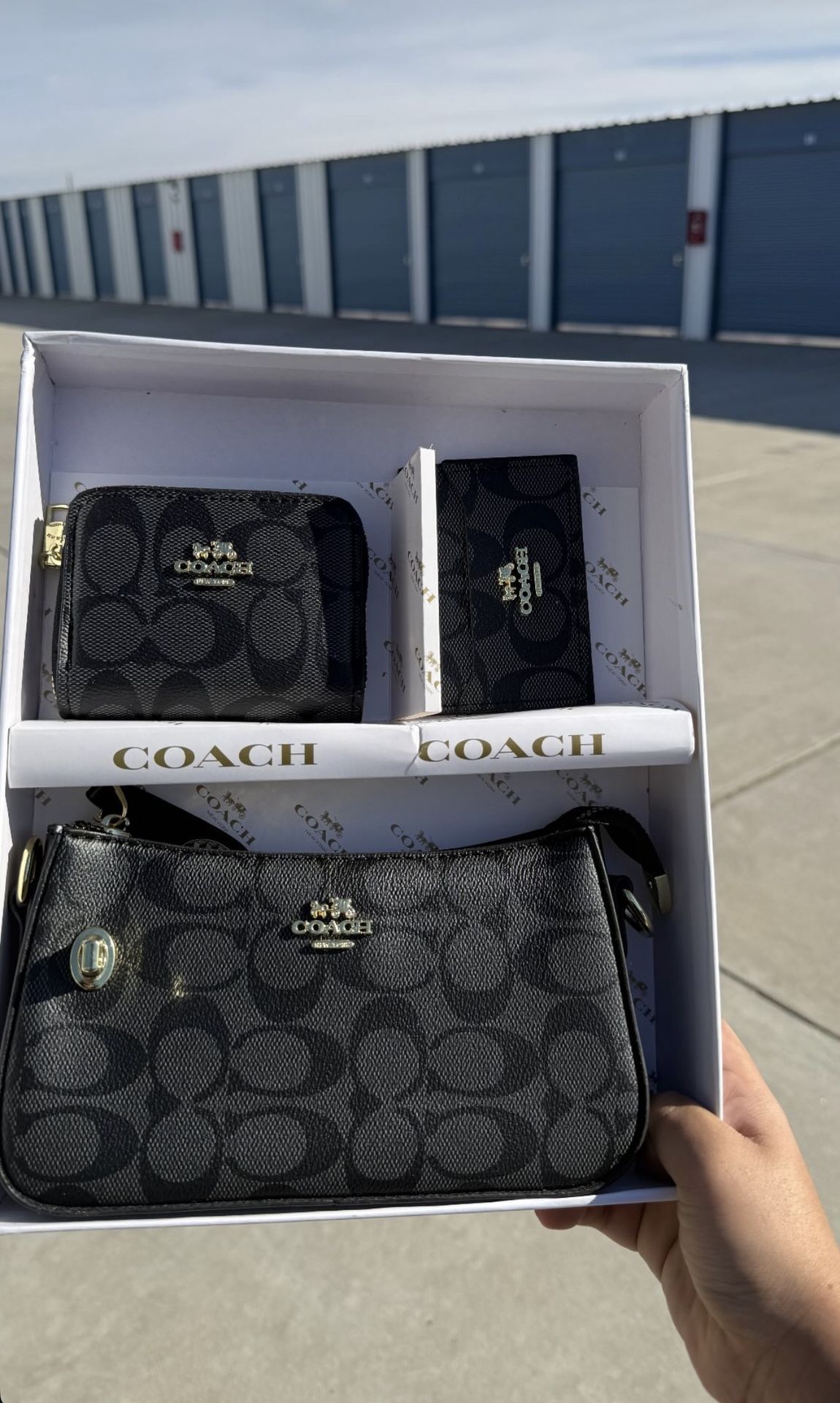 Coach bag sets
