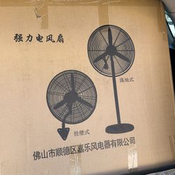 Fan 