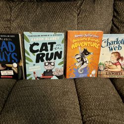 Bad guys, cat on the run, Rowley awesome friendly adventure, and charlottes web book