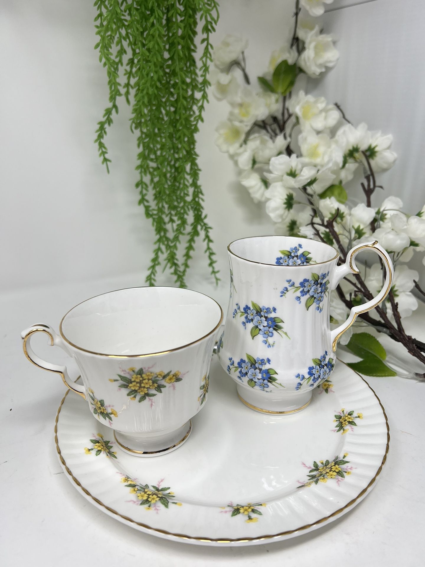 Royal Windsor Fine Bone China – England