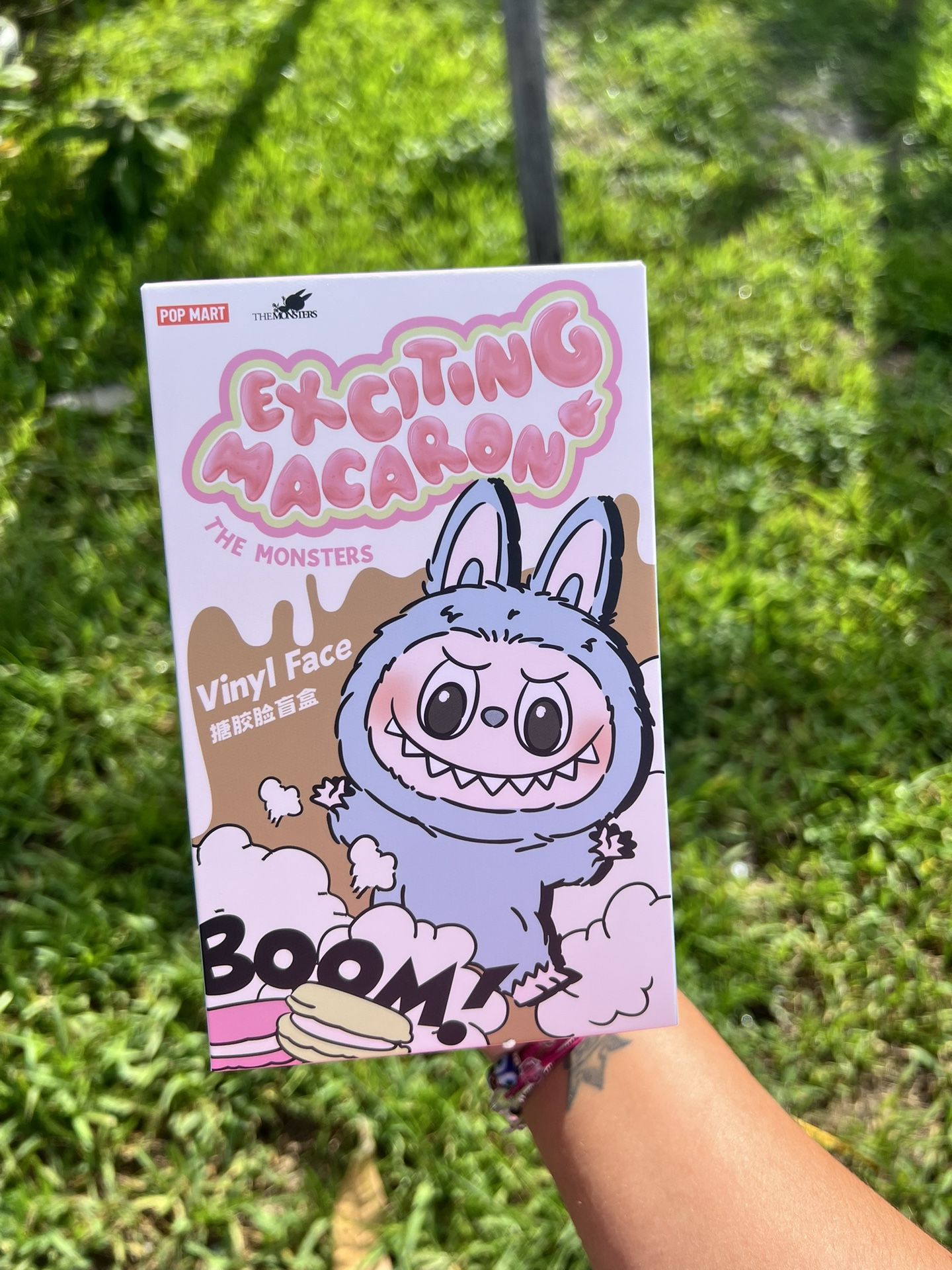 Exciting Macaroon Labubu