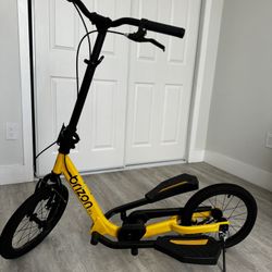 Bicycle : BRIZON WINGFLYER- W16