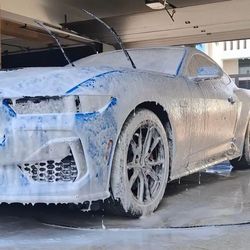 Lavado de motor y detallado profundo