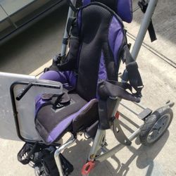 Special Needs Stroller