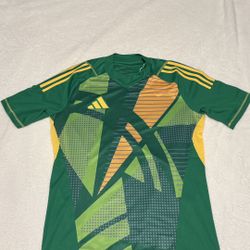 Adidas Goalkeeper Jersey 