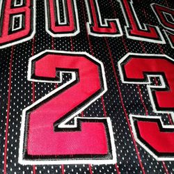 Champion Michael Jordan Jersey