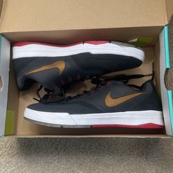 Nike Paul Rodriguez 9 Elite I