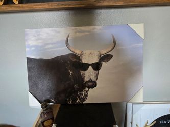 cow with sunglasses canvas