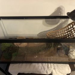 20 Gal Lizard/fish Tank Comes With Everything Inside It And Heating Lamp