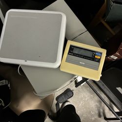 Weight scales