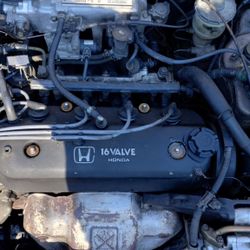 1992 Honda Accord