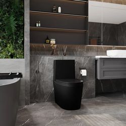 Dual flush One Piece Elongated Toilet - Matte Black Ceramic