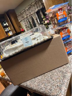 Free box with toys
