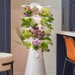 Hydroponic Farm stand 
