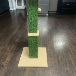 Marvelous Cat Scratcher 