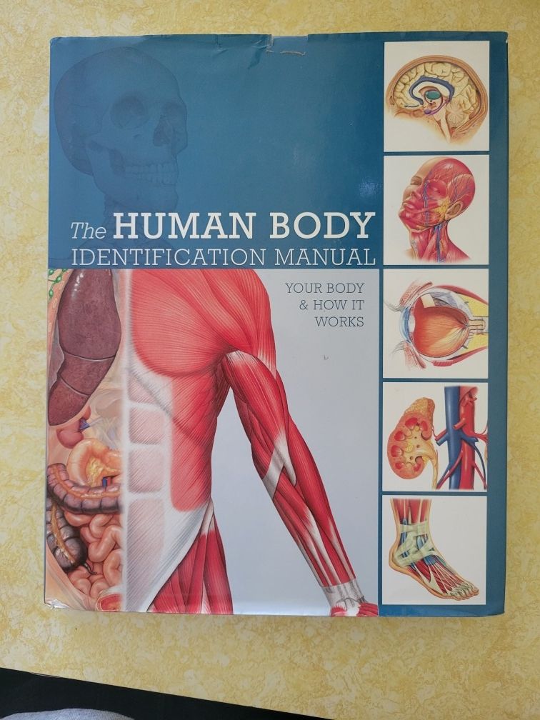 The Human Body Identification Manual