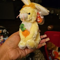 Ty Beanie Baby