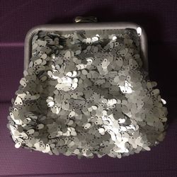 Banana Republic Silver Bag