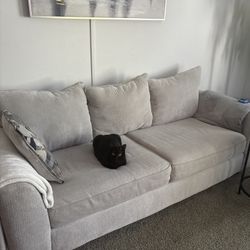 Couch And LED TV Stand