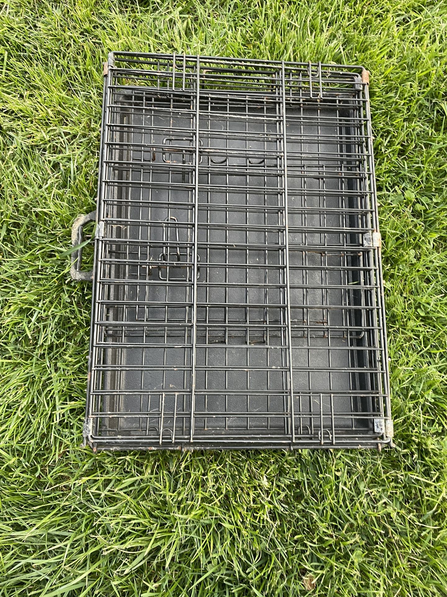 Small Dog Crate