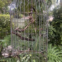Hanging Macaw Bird Cage 