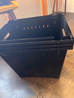 Large Buckets for bulk flowers or whatever.