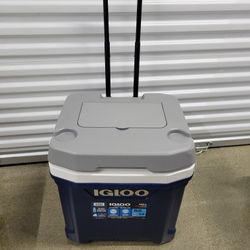 Igloo Cooler