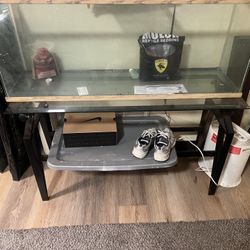 Fish Tank And Stand