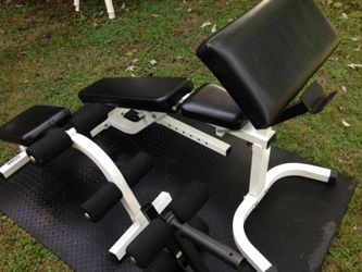 Parabody Serious Steel weight bench curl pull up dip station