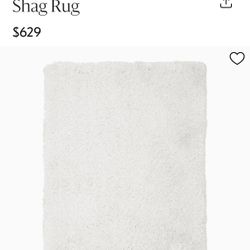 West Elm Rug 6x 9