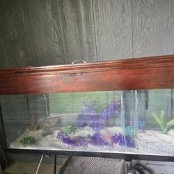 55 Gallon Fish Tank