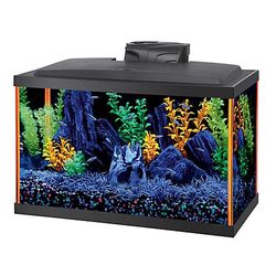 Aqueon NeoGlow 10 Gallon Aquarium Orange LED Fish Tank Kit