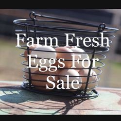 Farm Fresh Eggs 