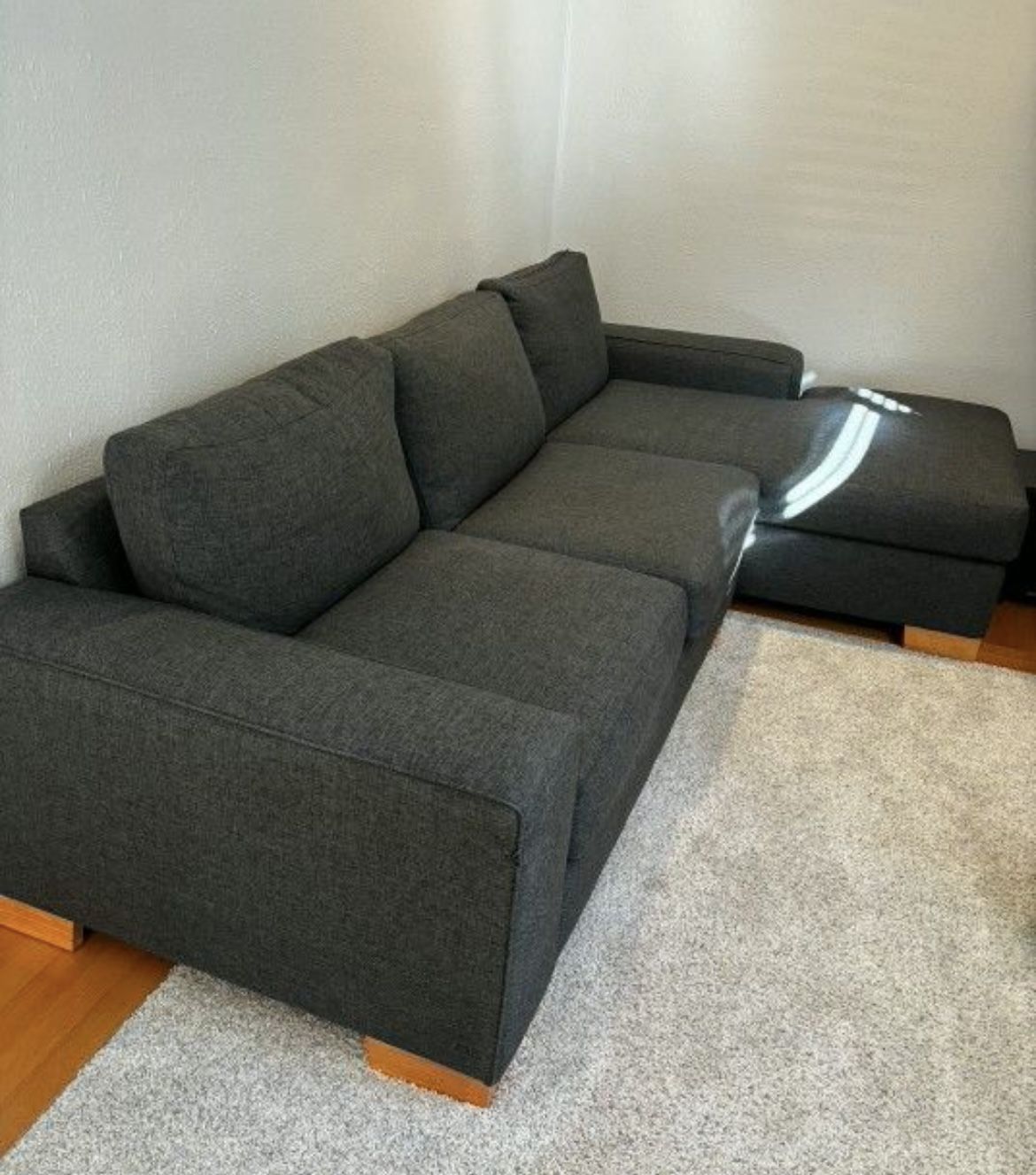 Sectional Couch 