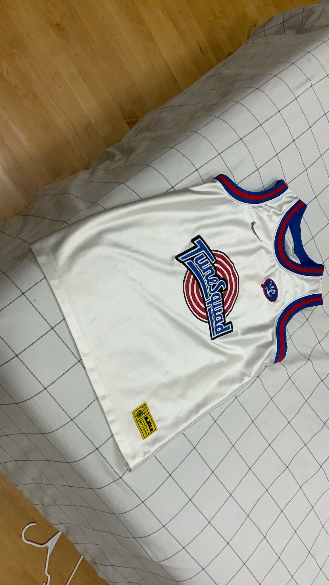 Rare Toon Squad LeBron Jersey Collectible
