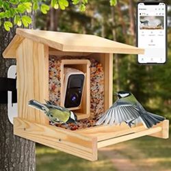 Bird Feeder With Camera 