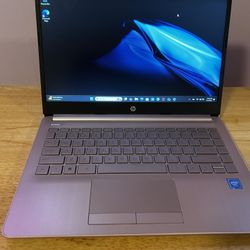 HP 14" Laptop