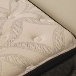 Bedmasters In Box Set