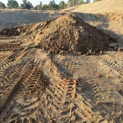 Dirt Clean For Free