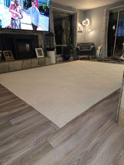 Large Textured Wool Area Rug – Ivory | Brand New