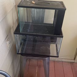 Various Size Fish/Reptile Tank - 30/10/5/3 Gallon