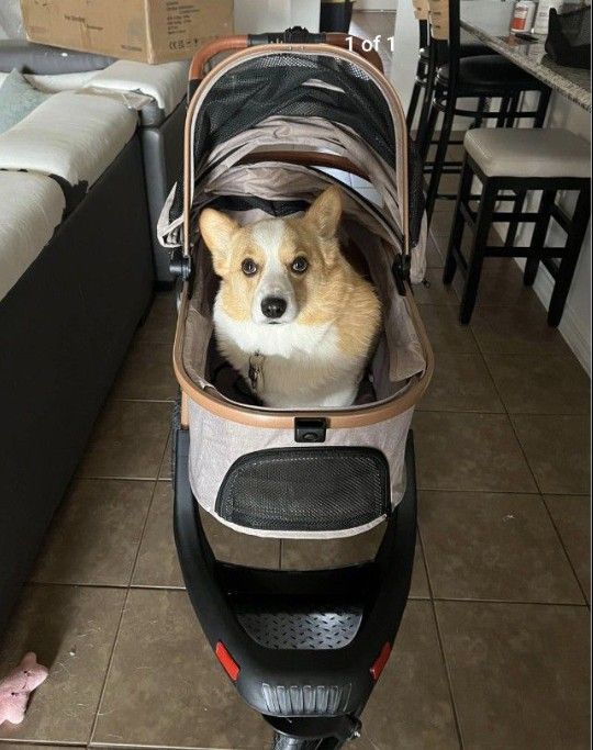 Dog Stroller