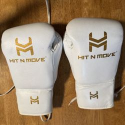 Hit N Move Boxing Gloves 