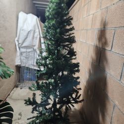 Chritmas Tree No Ligths. 5.5 Feet Tall