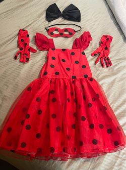 Disney Miraculous Costume for Halloween Child Size 5-6 in great condition. Never worn for Halloween