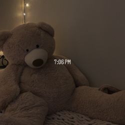 TEDDY BEAR 