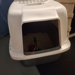 Cat Litter