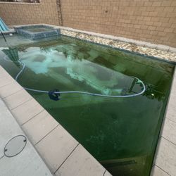 Green To Clean Pool (Best Price)