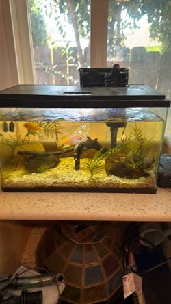 Fish tank