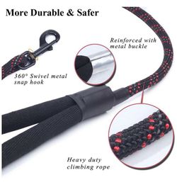 Dog collar and leash set